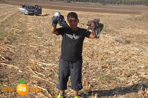 7amam lud monir 908 (18).JPG